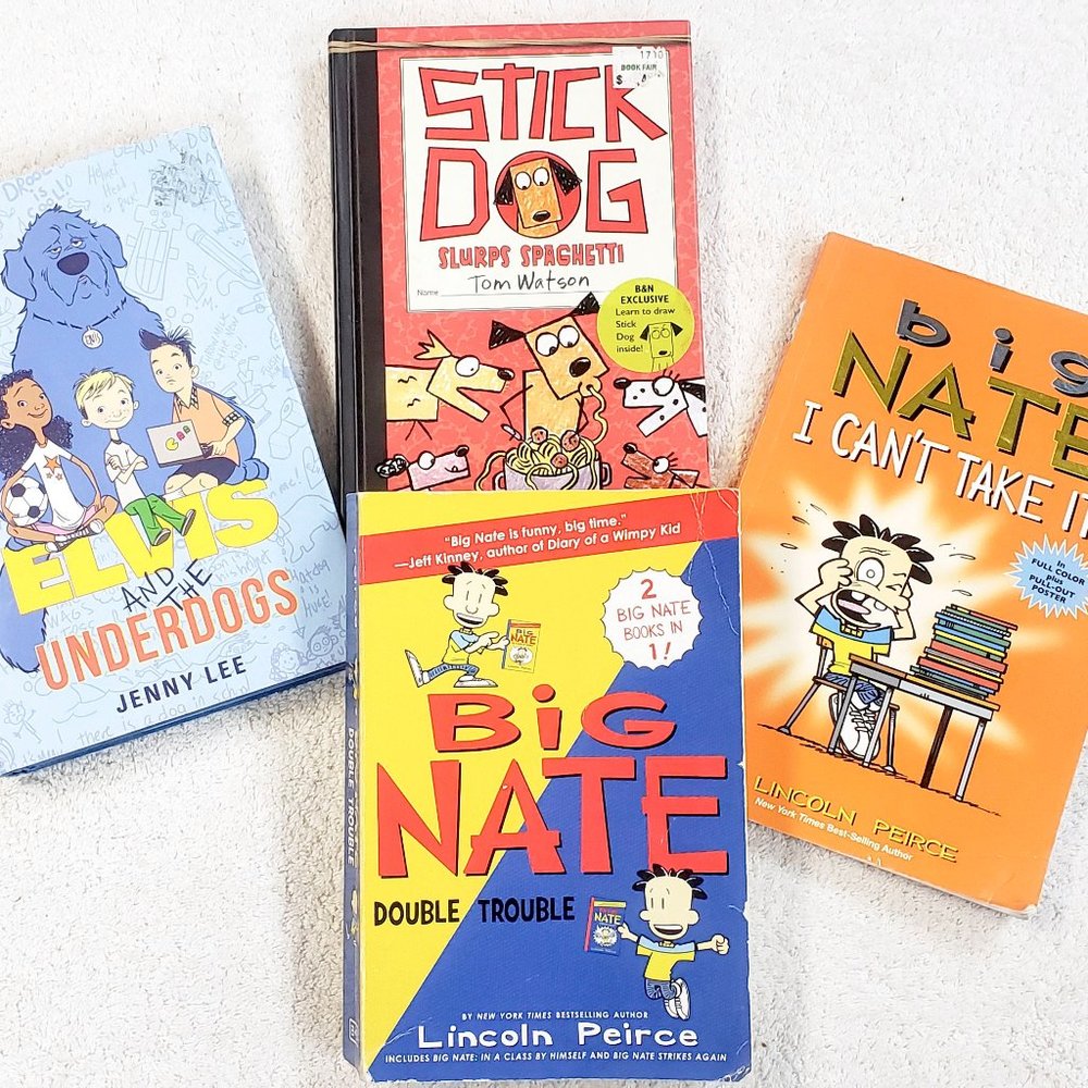 4 kids Books incl Big Nate and Stick Dog 8-12 yrs